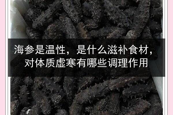 海参是温性,是什么滋补食材,对体质虚寒有哪些调理作用