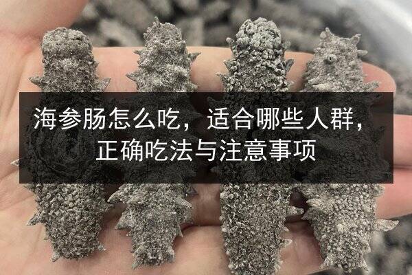 海参肠怎么吃，适合哪些人群，正确吃法与注意事项