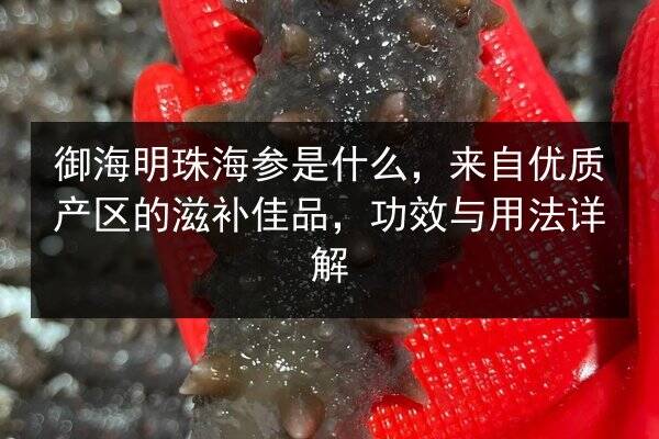 御海明珠海参是什么，来自优质产区的滋补佳品，功效与用法详解
