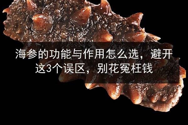 海参的功能与作用怎么选,避开这3个误区,别花冤枉钱