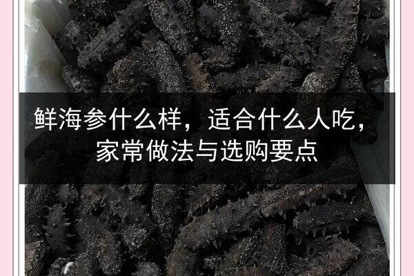 鲜海参什么样,适合什么人吃,家常做法与选购要点