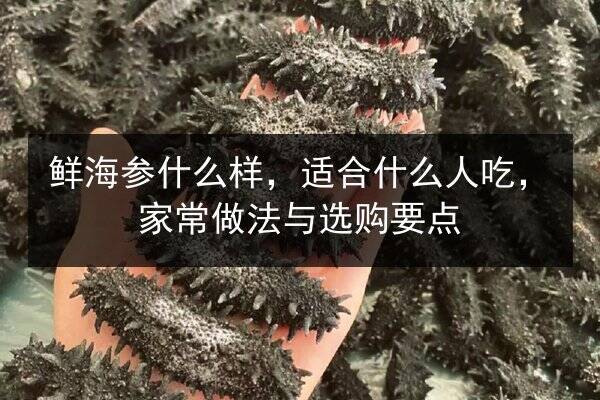鲜海参什么样,适合什么人吃,家常做法与选购要点