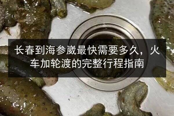 长春到海参崴最快需要多久，火车加轮渡的完整行程指南
