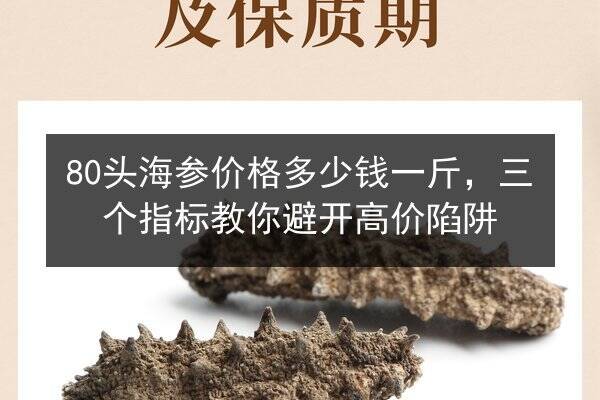 80头海参价格多少钱一斤,三个指标教你避开高价陷阱