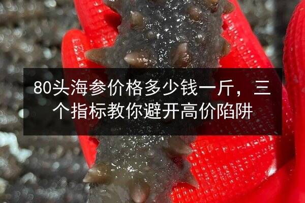 80头海参价格多少钱一斤,三个指标教你避开高价陷阱