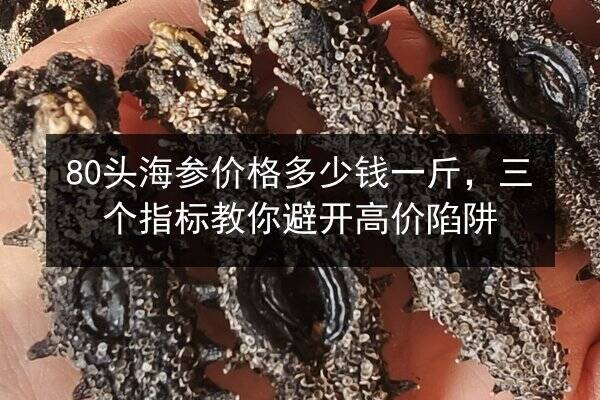 80头海参价格多少钱一斤,三个指标教你避开高价陷阱