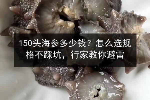 150头海参多少钱？怎么选规格不踩坑，行家教你避雷