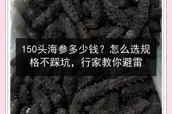 150头海参多少钱？怎么选规格不踩坑，行家教你避雷