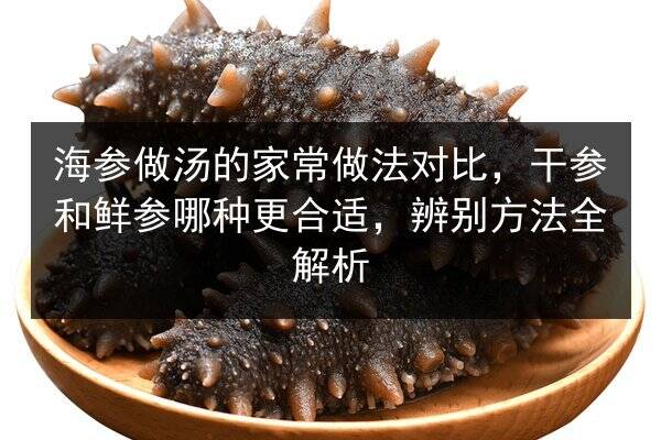 海参做汤的家常做法对比,干参和鲜参哪种更合适,辨别方法全解析