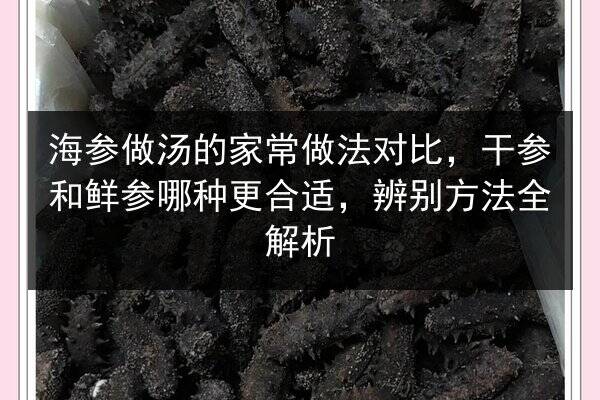 海参做汤的家常做法对比,干参和鲜参哪种更合适,辨别方法全解析