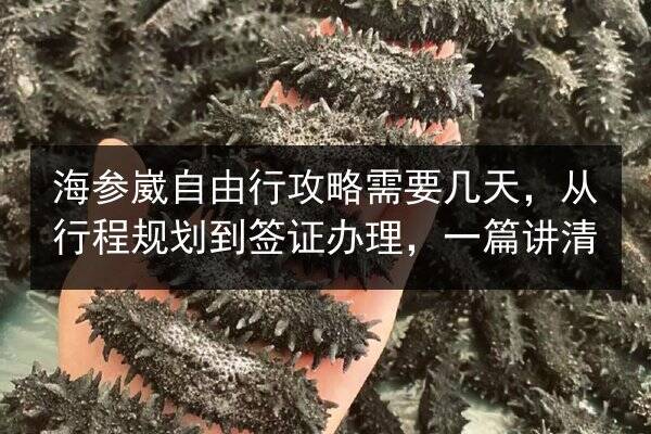 海参崴自由行攻略需要几天，从行程规划到签证办理，一篇讲清