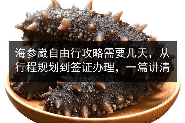 海参崴自由行攻略需要几天，从行程规划到签证办理，一篇讲清