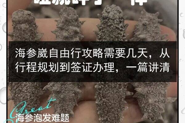 海参崴自由行攻略需要几天，从行程规划到签证办理，一篇讲清