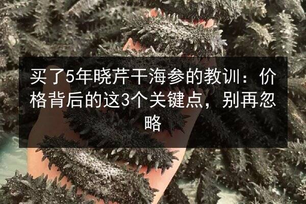 买了5年晓芹干海参的教训：价格背后的这3个关键点，别再忽略