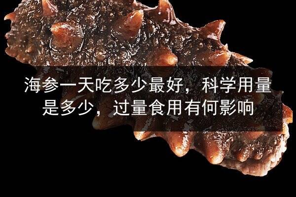 海参一天吃多少最好,科学用量是多少,过量食用有何影响