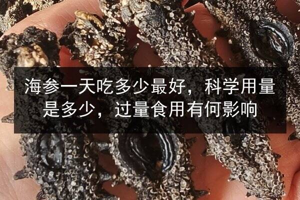 海参一天吃多少最好,科学用量是多少,过量食用有何影响