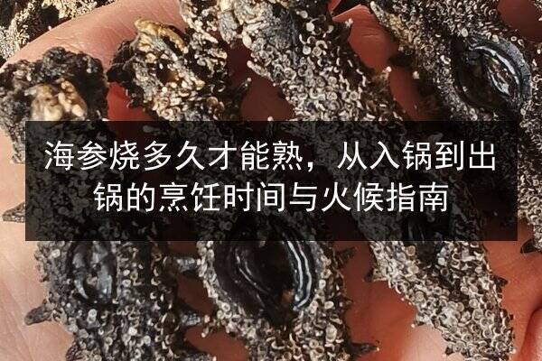 海参烧多久才能熟,从入锅到出锅的烹饪时间与火候指南