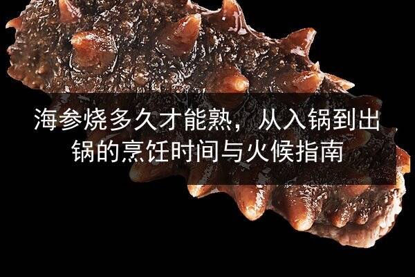海参烧多久才能熟,从入锅到出锅的烹饪时间与火候指南