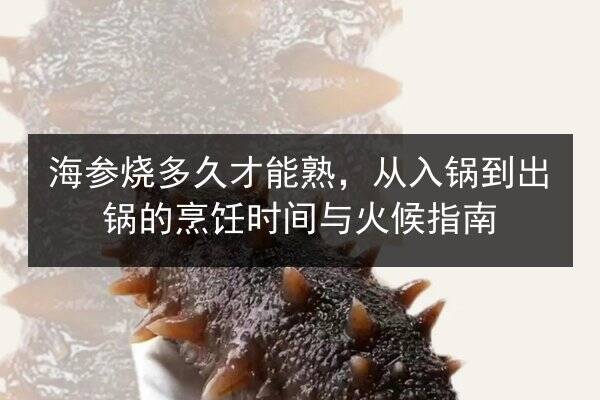 海参烧多久才能熟,从入锅到出锅的烹饪时间与火候指南