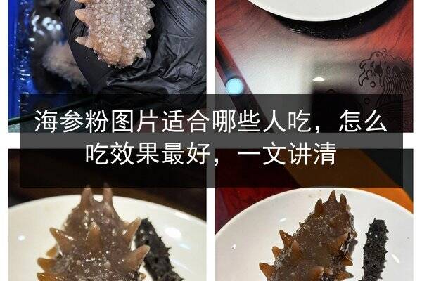 海参粉图片适合哪些人吃,怎么吃效果最好,一文讲清