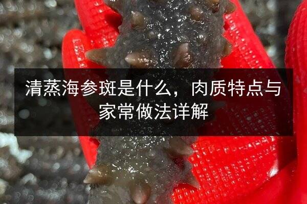 清蒸海参斑是什么,肉质特点与家常做法详解