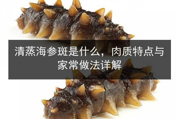 清蒸海参斑是什么,肉质特点与家常做法详解