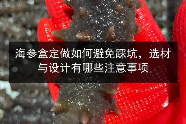 海参盒定做如何避免踩坑,选材与设计有哪些注意事项