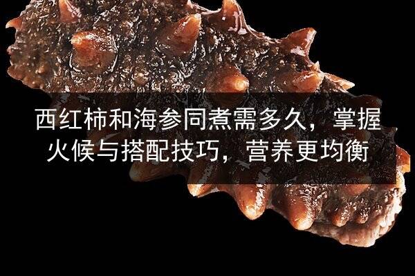 西红柿和海参同煮需多久，掌握火候与搭配技巧，营养更均衡