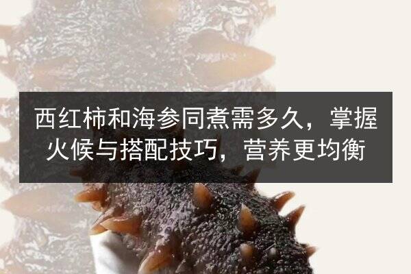 西红柿和海参同煮需多久，掌握火候与搭配技巧，营养更均衡