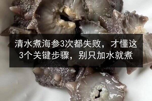 清水煮海参3次都失败,才懂这3个关键步骤,别只加水就煮