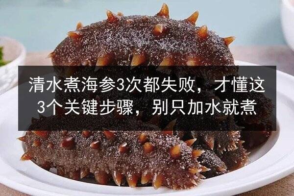 清水煮海参3次都失败,才懂这3个关键步骤,别只加水就煮