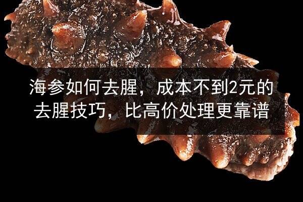 海参如何去腥，成本不到2元的去腥技巧，比高价处理更靠谱