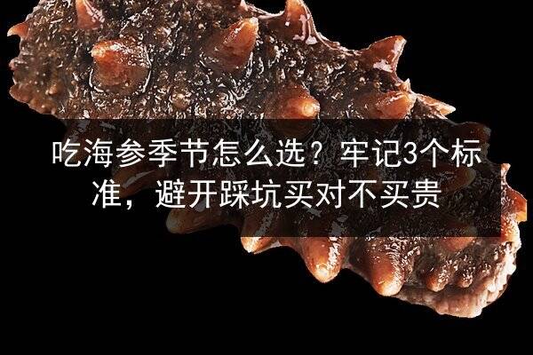 吃海参季节怎么选？牢记3个标准，避开踩坑买对不买贵