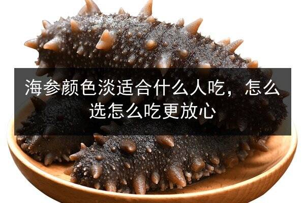 海参颜色淡适合什么人吃,怎么选怎么吃更放心