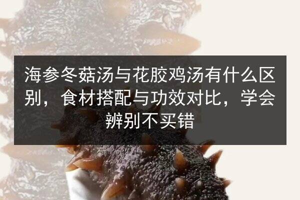 海参冬菇汤与花胶鸡汤有什么区别,食材搭配与功效对比,学会辨别不买错