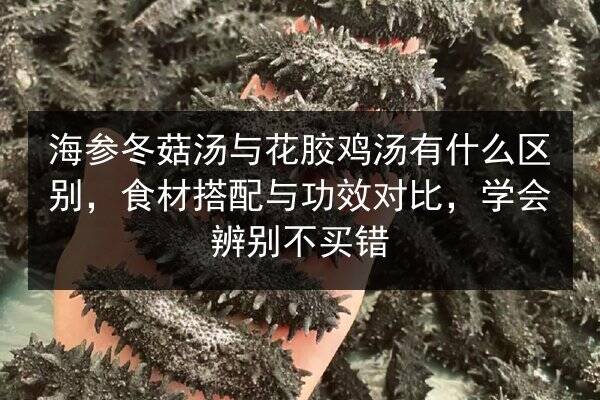 海参冬菇汤与花胶鸡汤有什么区别,食材搭配与功效对比,学会辨别不买错