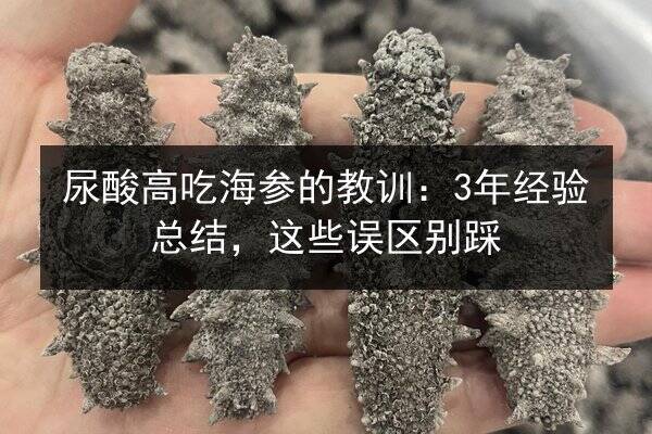 尿酸高吃海参的教训：3年经验总结，这些误区别踩