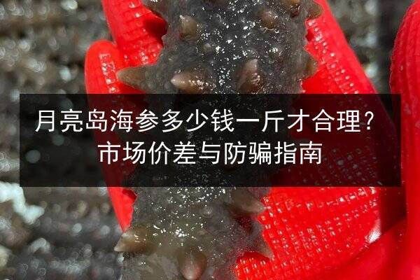 月亮岛海参多少钱一斤才合理?市场价差与防骗指南