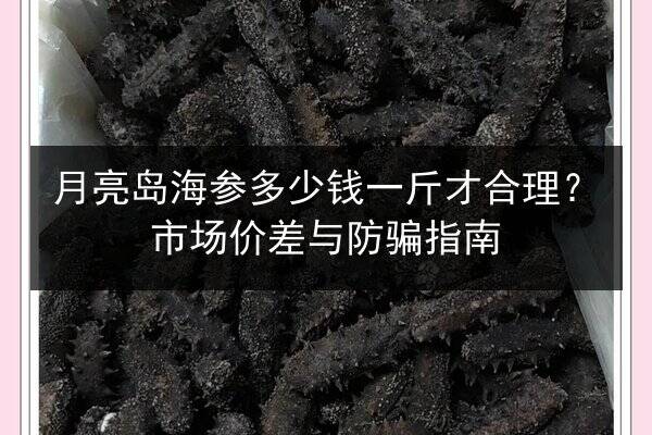 月亮岛海参多少钱一斤才合理?市场价差与防骗指南