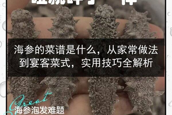 海参的菜谱是什么，从家常做法到宴客菜式，实用技巧全解析