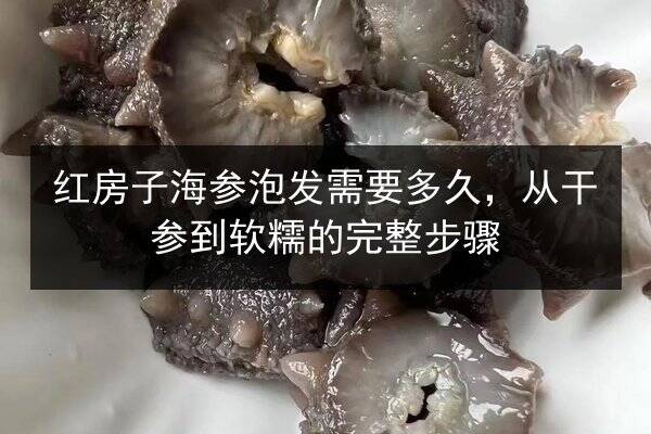 红房子海参泡发需要多久,从干参到软糯的完整步骤