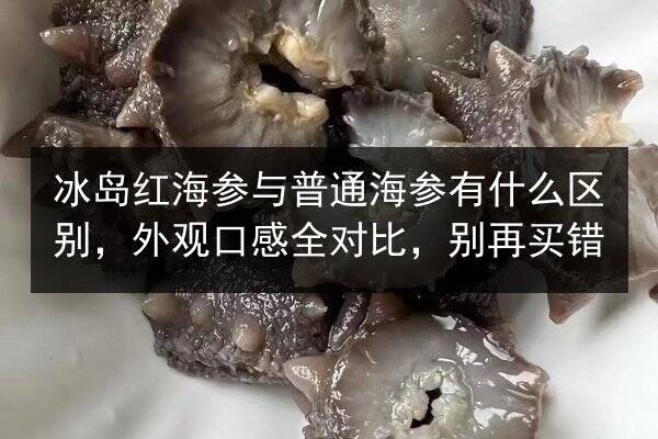 冰岛红海参与普通海参有什么区别，外观口感全对比，别再买错