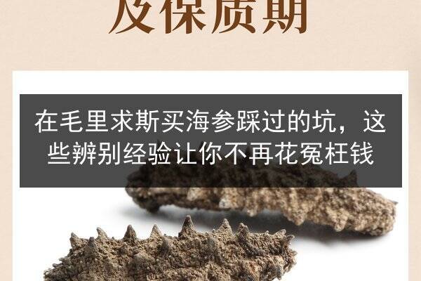 在毛里求斯买海参踩过的坑,这些辨别经验让你不再花冤枉钱