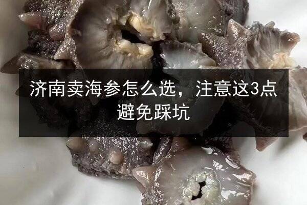 济南卖海参怎么选,注意这3点避免踩坑