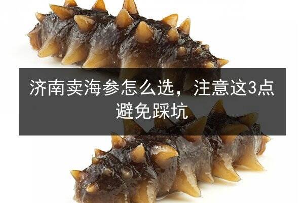 济南卖海参怎么选,注意这3点避免踩坑