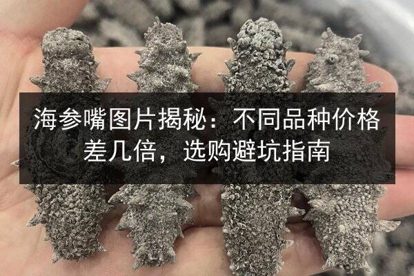海参嘴图片揭秘：不同品种价格差几倍，选购避坑指南