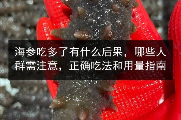 海参吃多了有什么后果，哪些人群需注意，正确吃法和用量指南