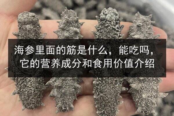 海参里面的筋是什么,能吃吗,它的营养成分和食用价值介绍