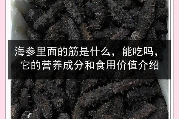 海参里面的筋是什么,能吃吗,它的营养成分和食用价值介绍