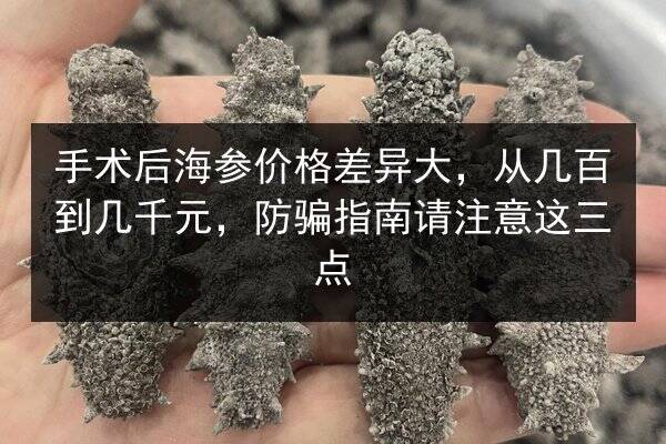 手术后海参价格差异大,从几百到几千元,防骗指南请注意这三点